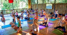 Danyasa Yoga Retreats and Teacher Training