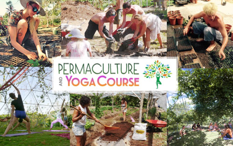 Permaculture and Yoga Retreat at Rancho Delicioso