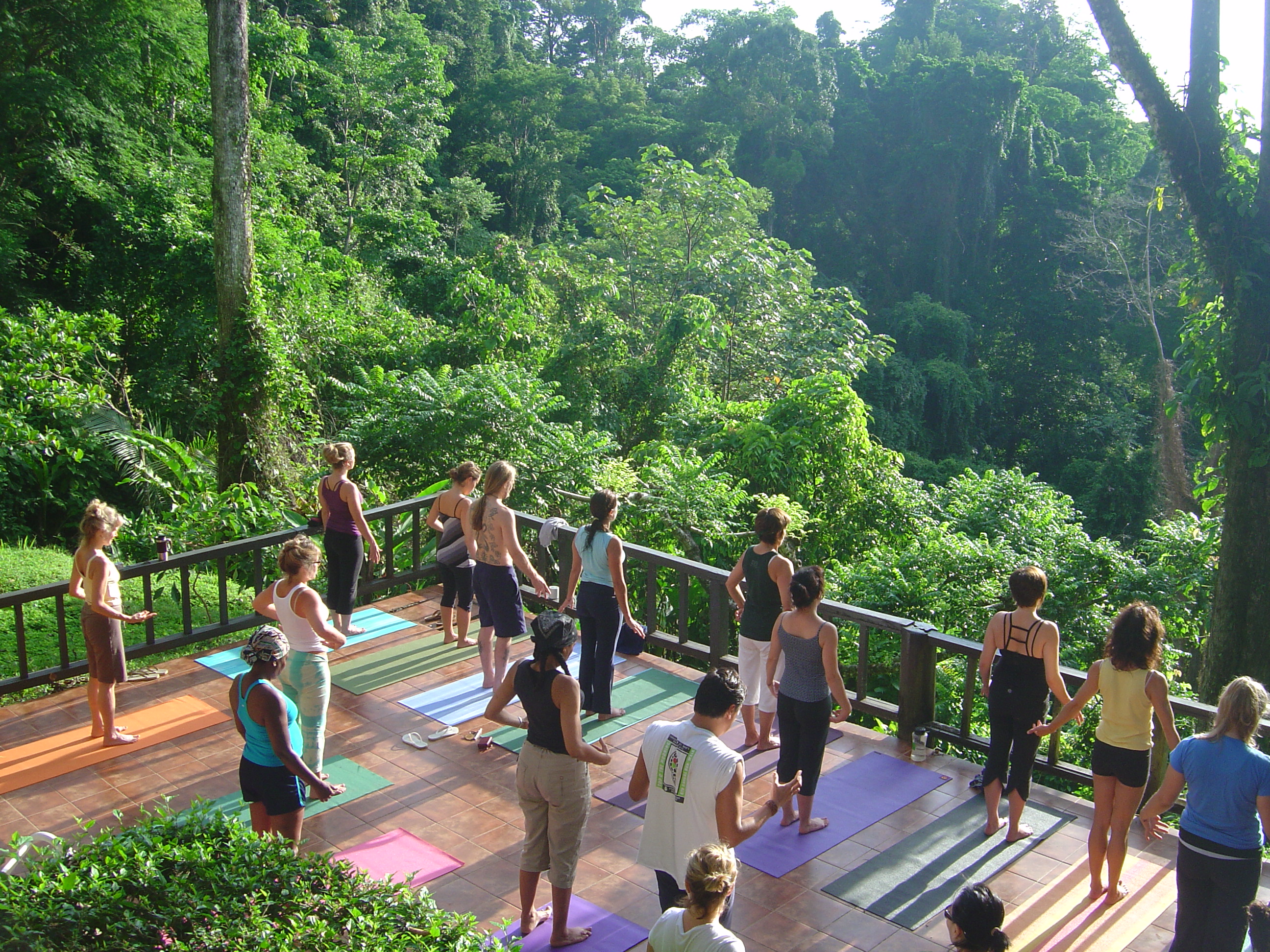 Particpants are prcticing yoga on a roof surrounded by a tropical forest samasati nature retreat