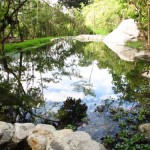 Small lake with clean water at Rio Chirripo Yoga Retreat