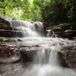 beautiful waterfall midst tropical forest