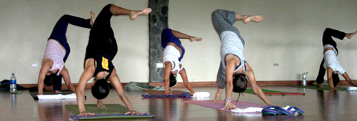 a group of practitioners doing hatha yoga