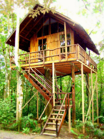 uniquely designed tree house