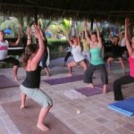 group of people practicing hatha yoga